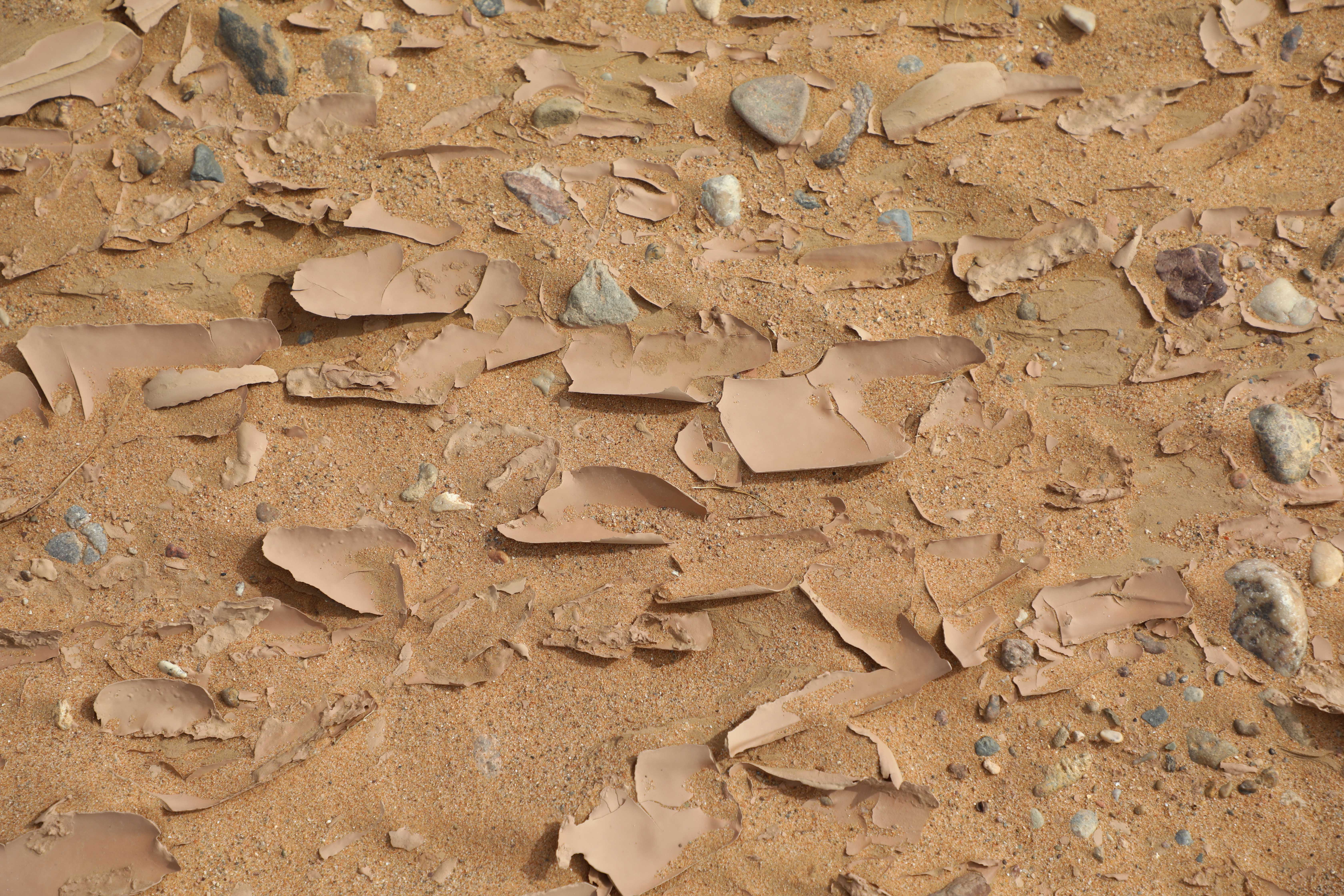 Authentic experience