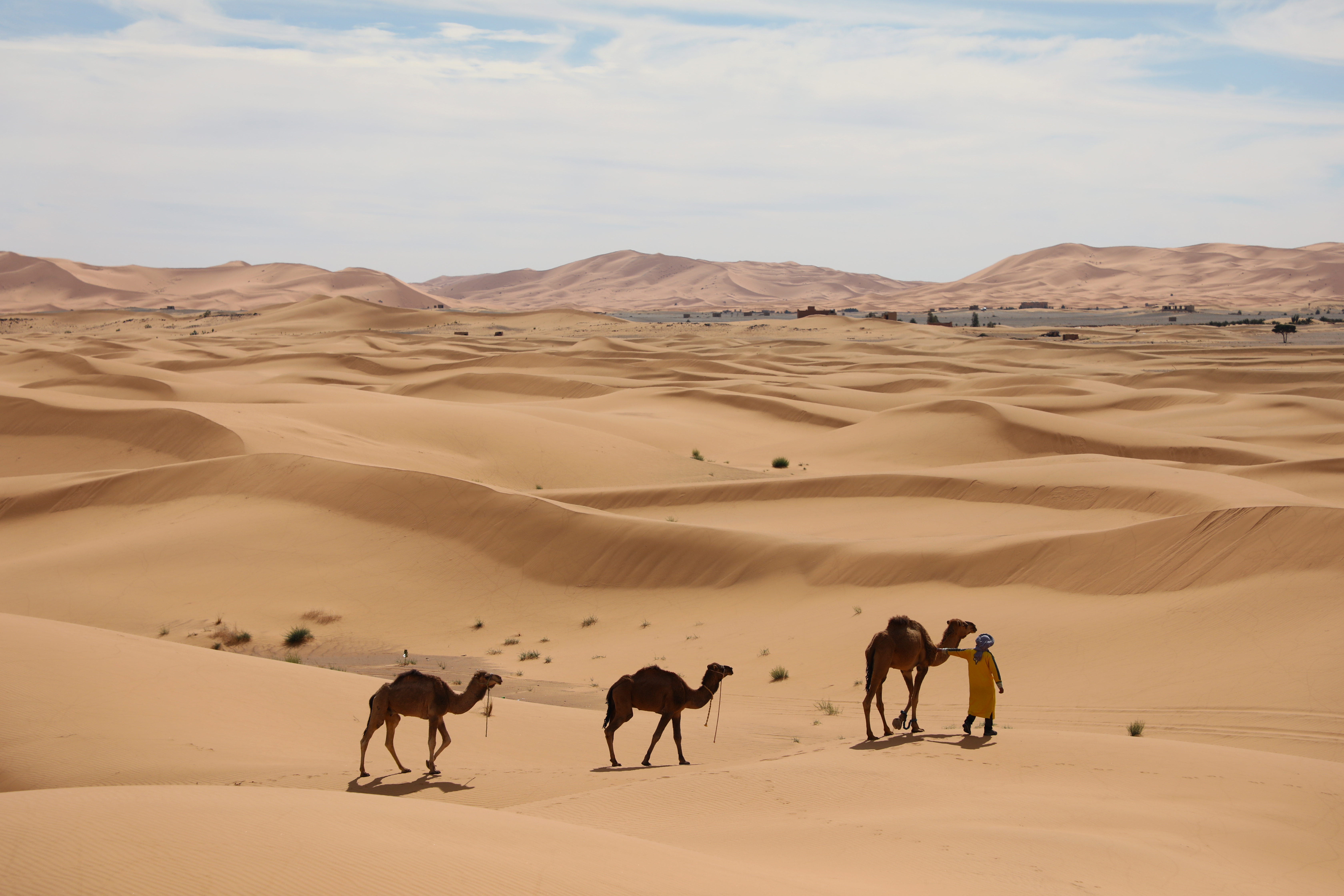 Hamada Retreat - Sahara Desert